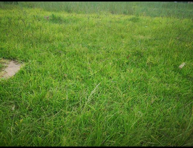 600M² VACANT LAND FOR SALE IN HOWICK WEST